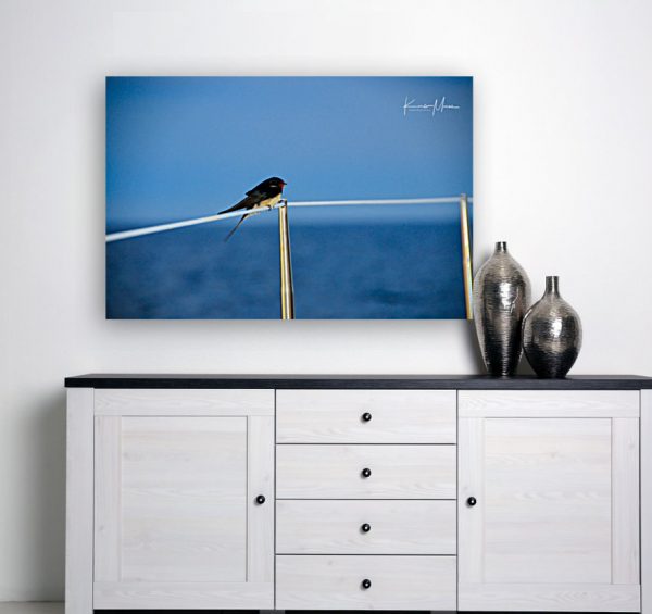 Swallow on a Yacht ArtPlacer